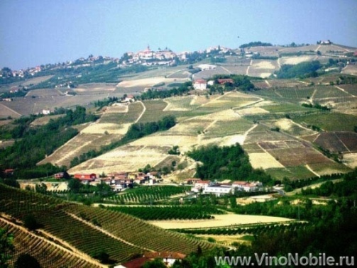 Купить винодельню / виноградник - в Италии. ВиноНобиле.ру